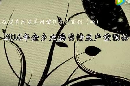 2016年金鄉(xiāng)大蒜苗情及產(chǎn)量預估 (3003播放)