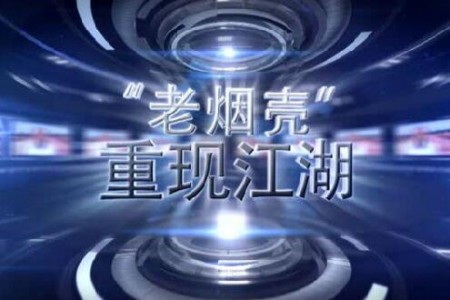 老煙殼重現(xiàn)江湖——縱論大勢，撥開2016大蒜迷霧 (4033播放)