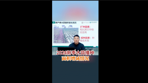 2024新季大蒜播種面積增減情況 (725播放)