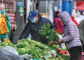 濟(jì)南：降雪期間菜價保持平穩(wěn)